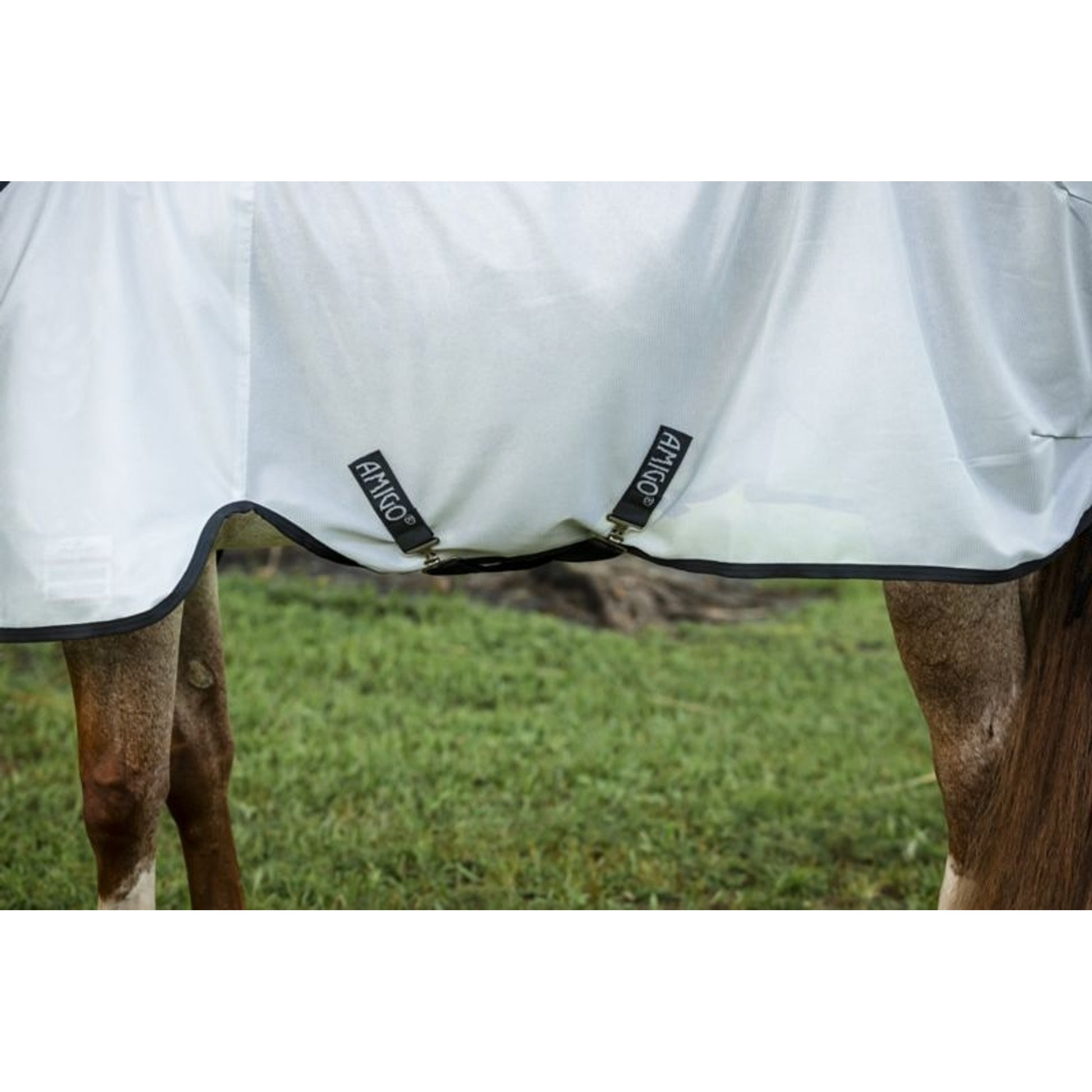 Amigo Bug Rug Stock Horse Plus Fly