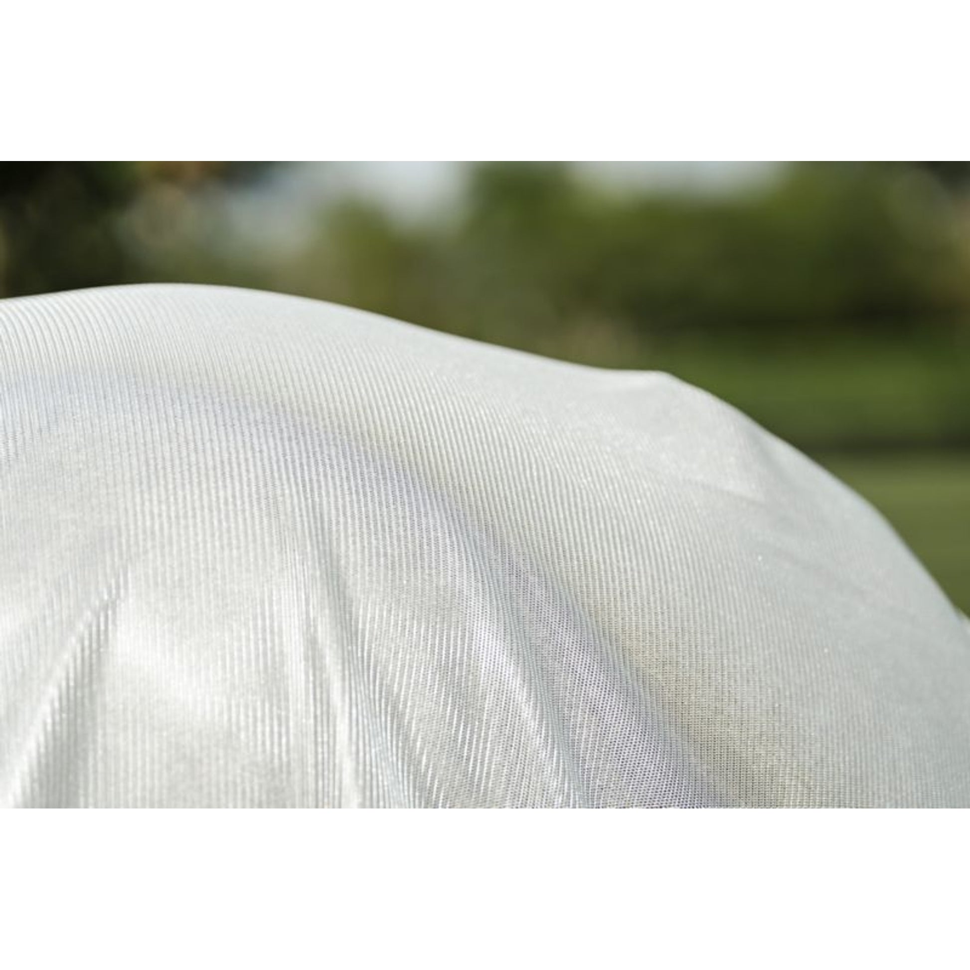 Amigo Bug Rug Stock Horse Plus Fly