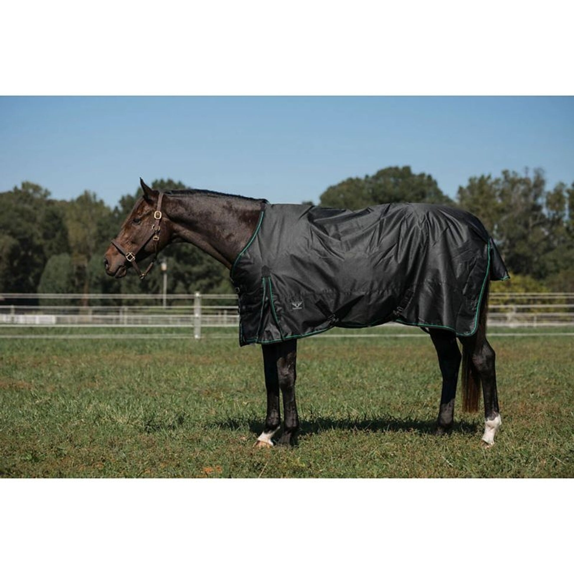TuffRider 600D Comfy Medium TO Blanket