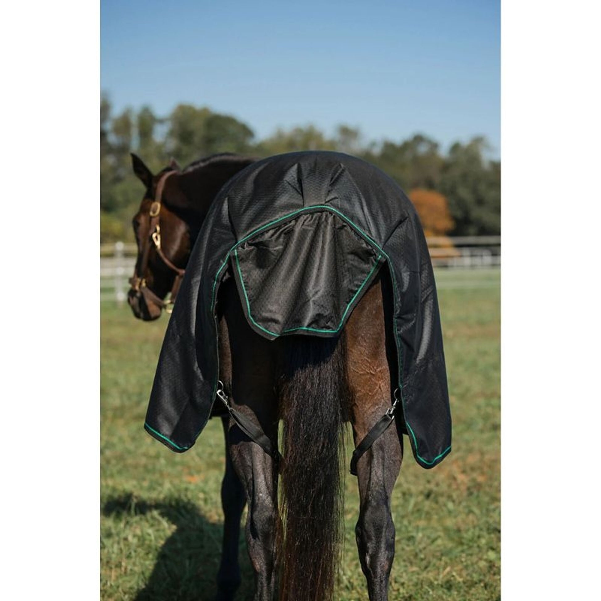 TuffRider 600D Comfy Medium TO Blanket