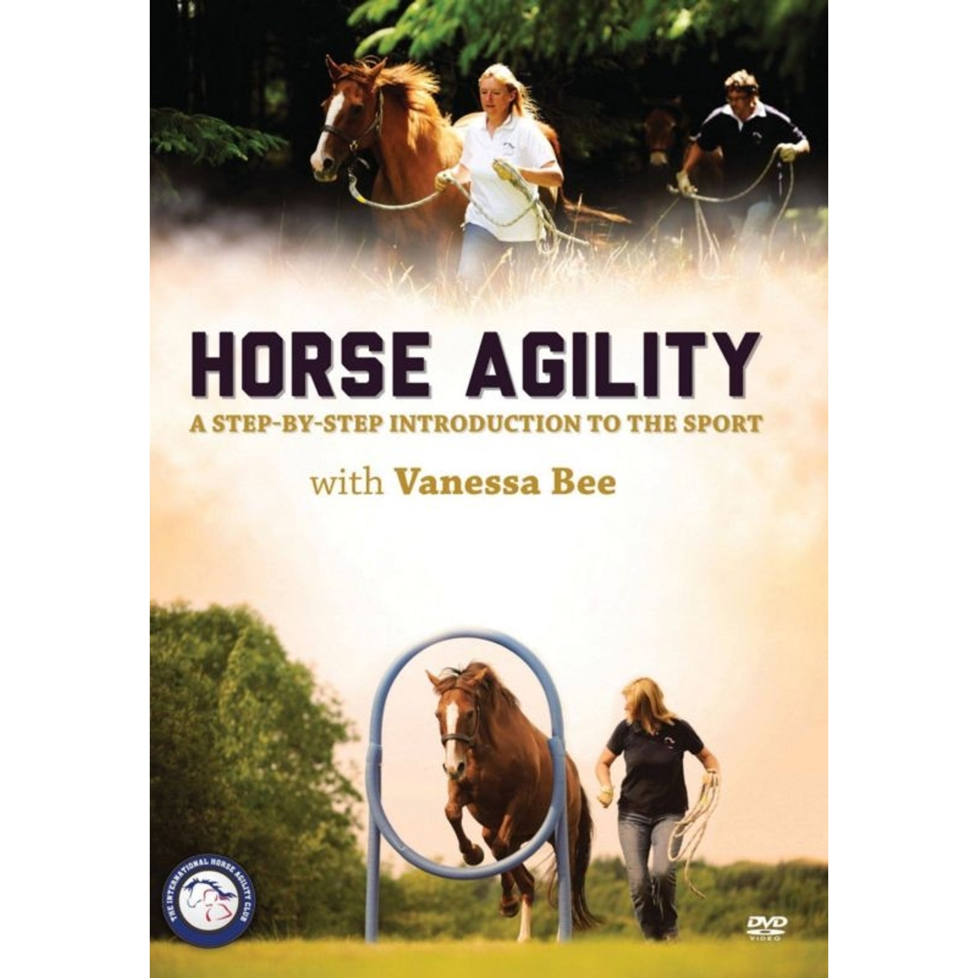 The Riders Balance 144 Pages