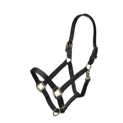 ARMA Nylon Halter Leather Hd Strap