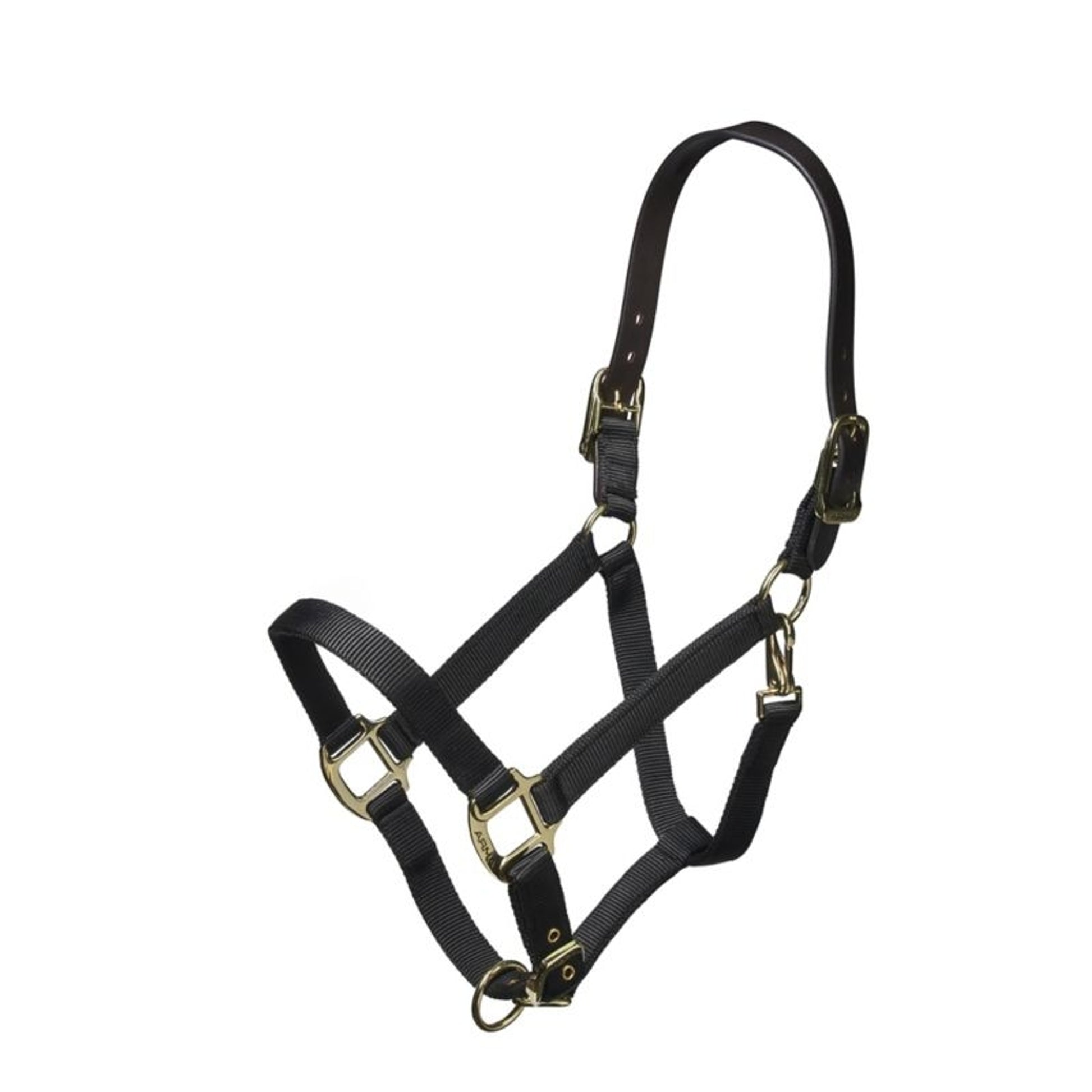 ARMA Nylon Halter Leather Hd Strap
