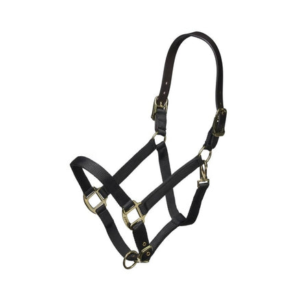 ARMA Nylon Halter Leather Hd Strap