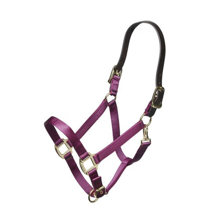 ARMA Nylon Halter Leather Hd Strap