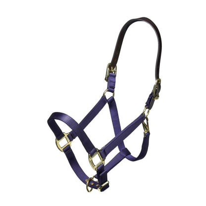 ARMA Nylon Halter Leather Hd Strap