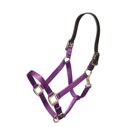 ARMA Nylon Halter Leather Hd Strap