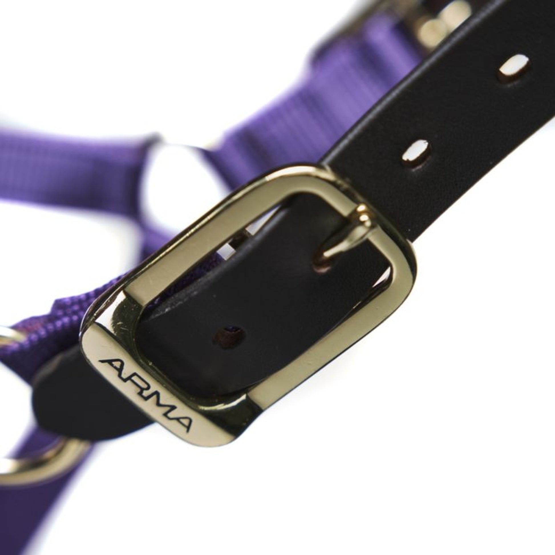 ARMA Nylon Halter Leather Hd Strap