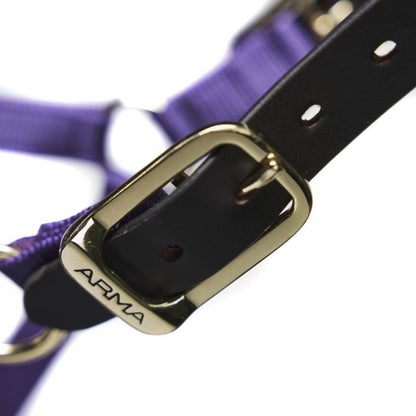 ARMA Nylon Halter Leather Hd Strap