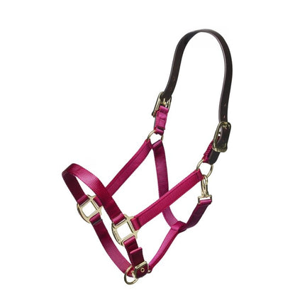 ARMA Nylon Halter Leather Hd Strap
