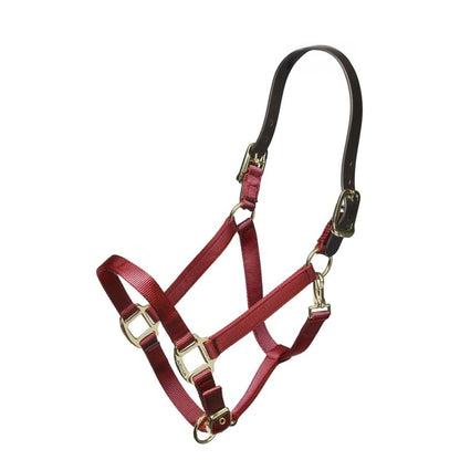 ARMA Nylon Halter Leather Hd Strap