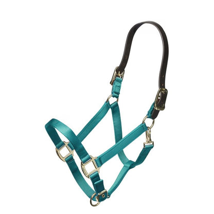 ARMA Nylon Halter Leather Hd Strap