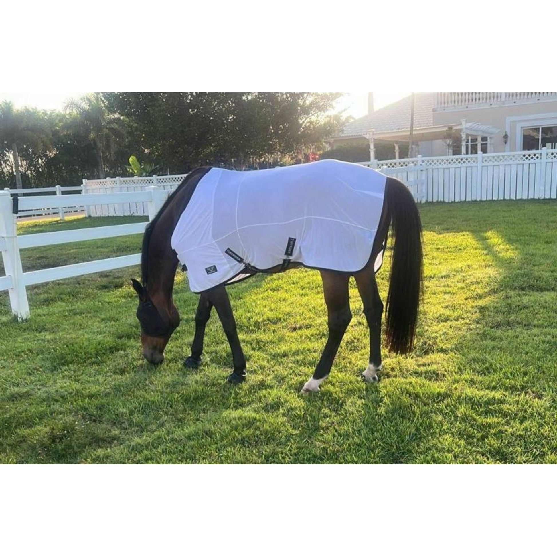 TuffRider Comfy Mesh Stretch Fly Sheet