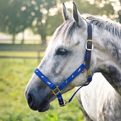 Gatsby Nylon Breakaway Halter Overlay