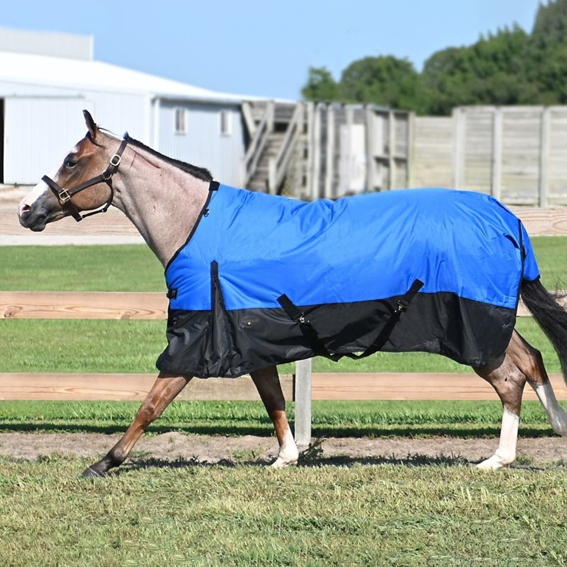 Tabelo Waterproof 1200D T/O Blanket