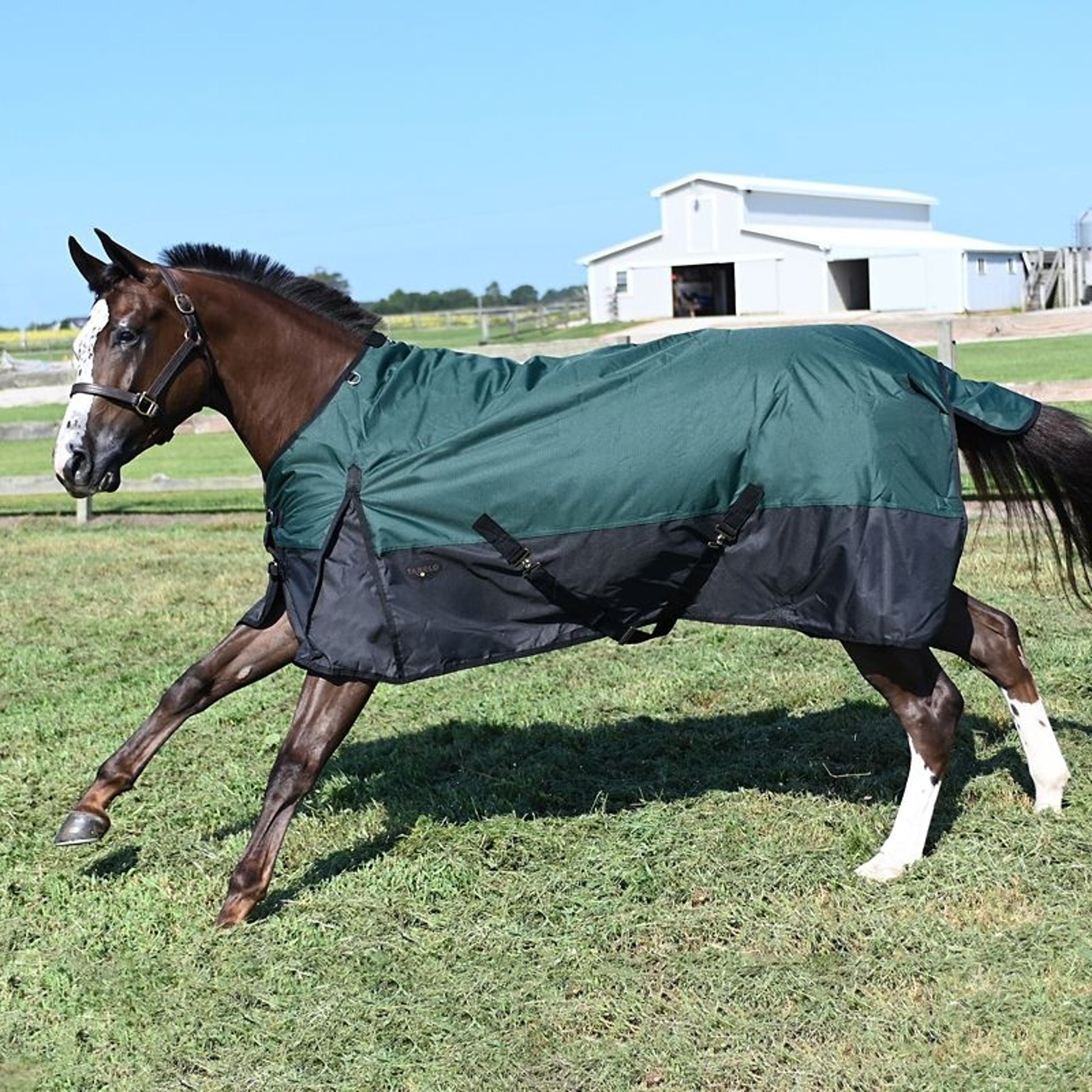 Tabelo Waterproof 1200D T/O Blanket