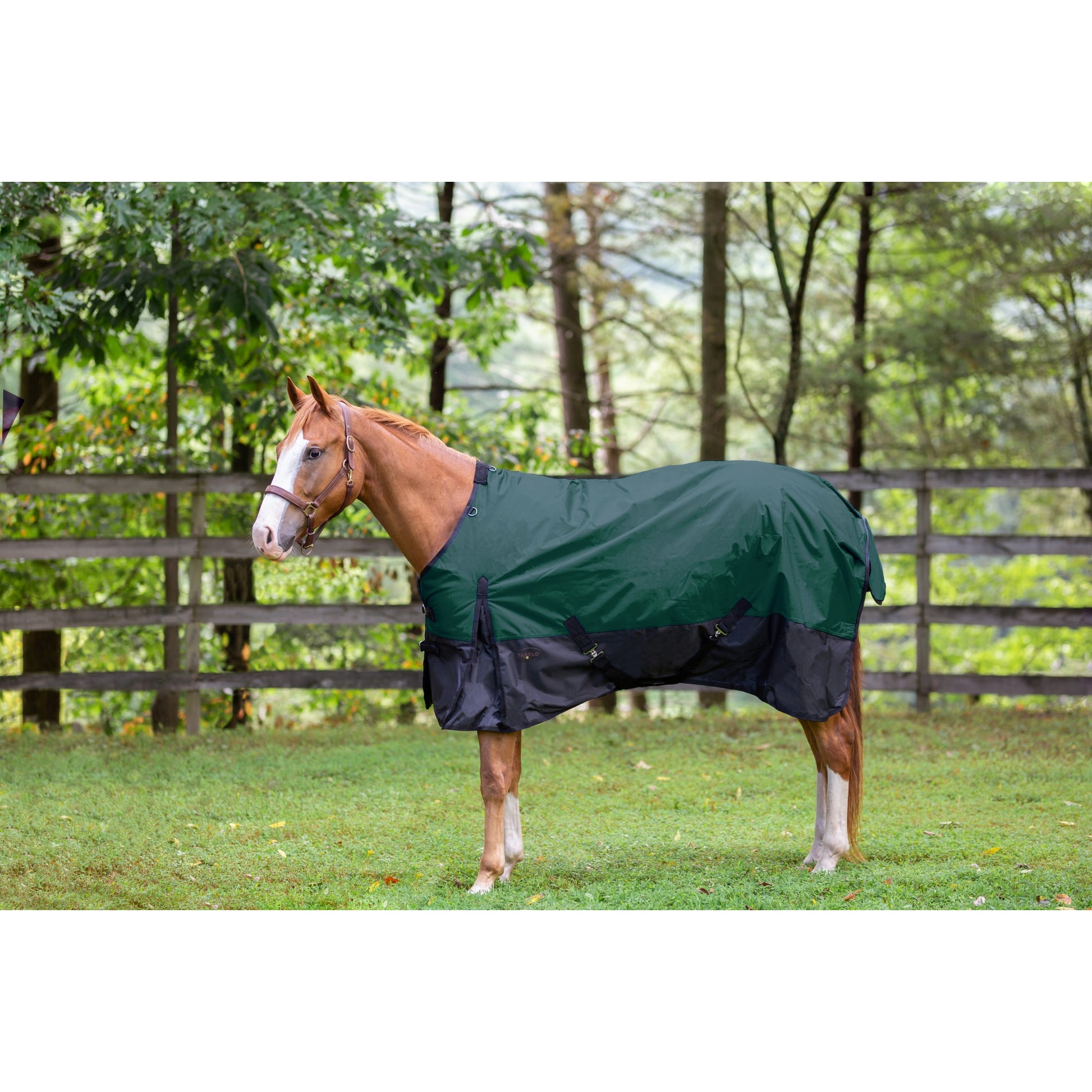 Tabelo Waterproof 1200D T/O Blanket