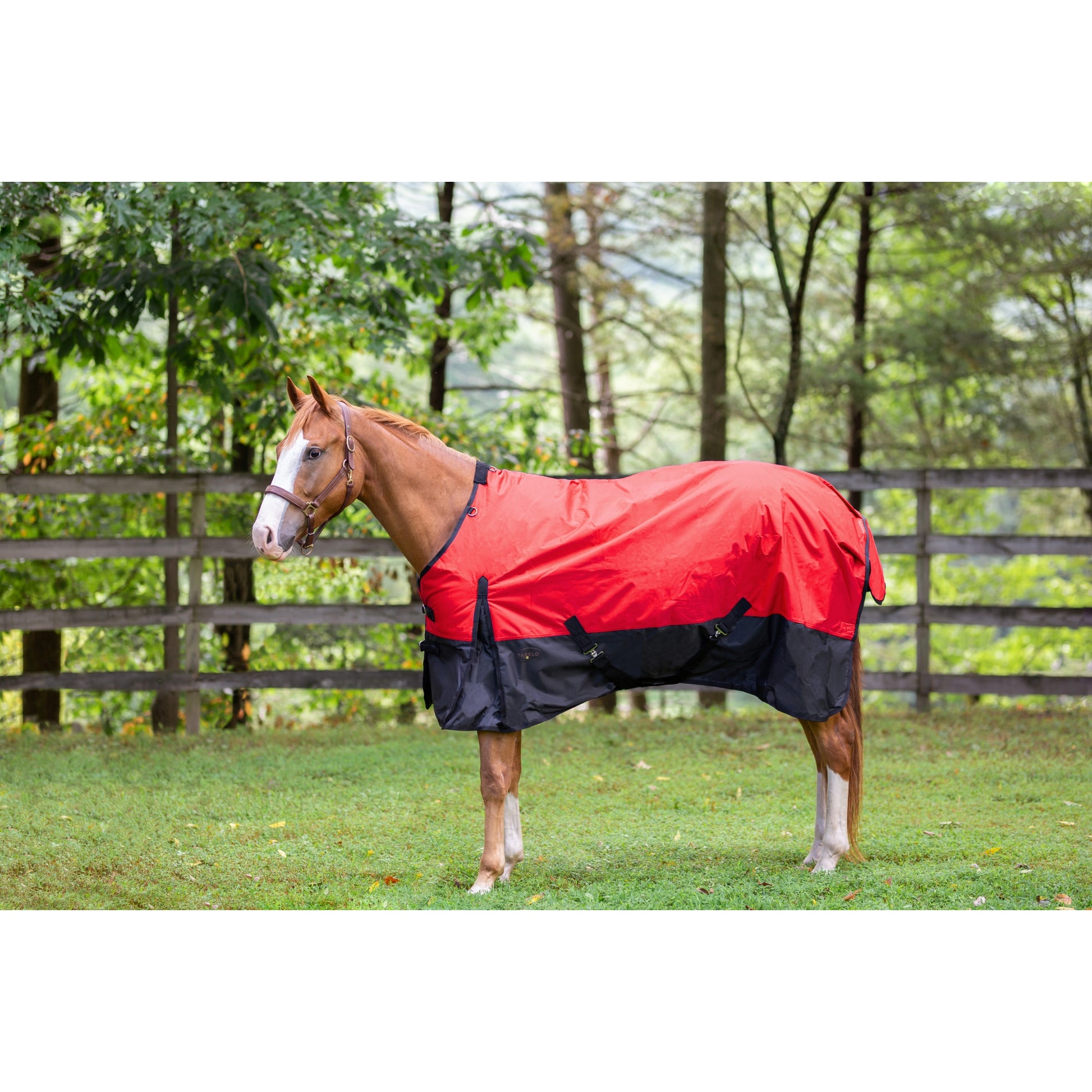 Tabelo Waterproof 1200D T/O Blanket