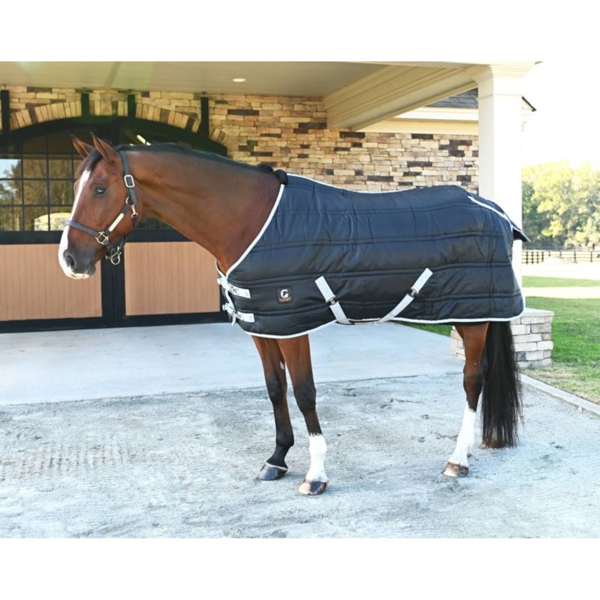 Gatsby 600D 250g Stable Blanket