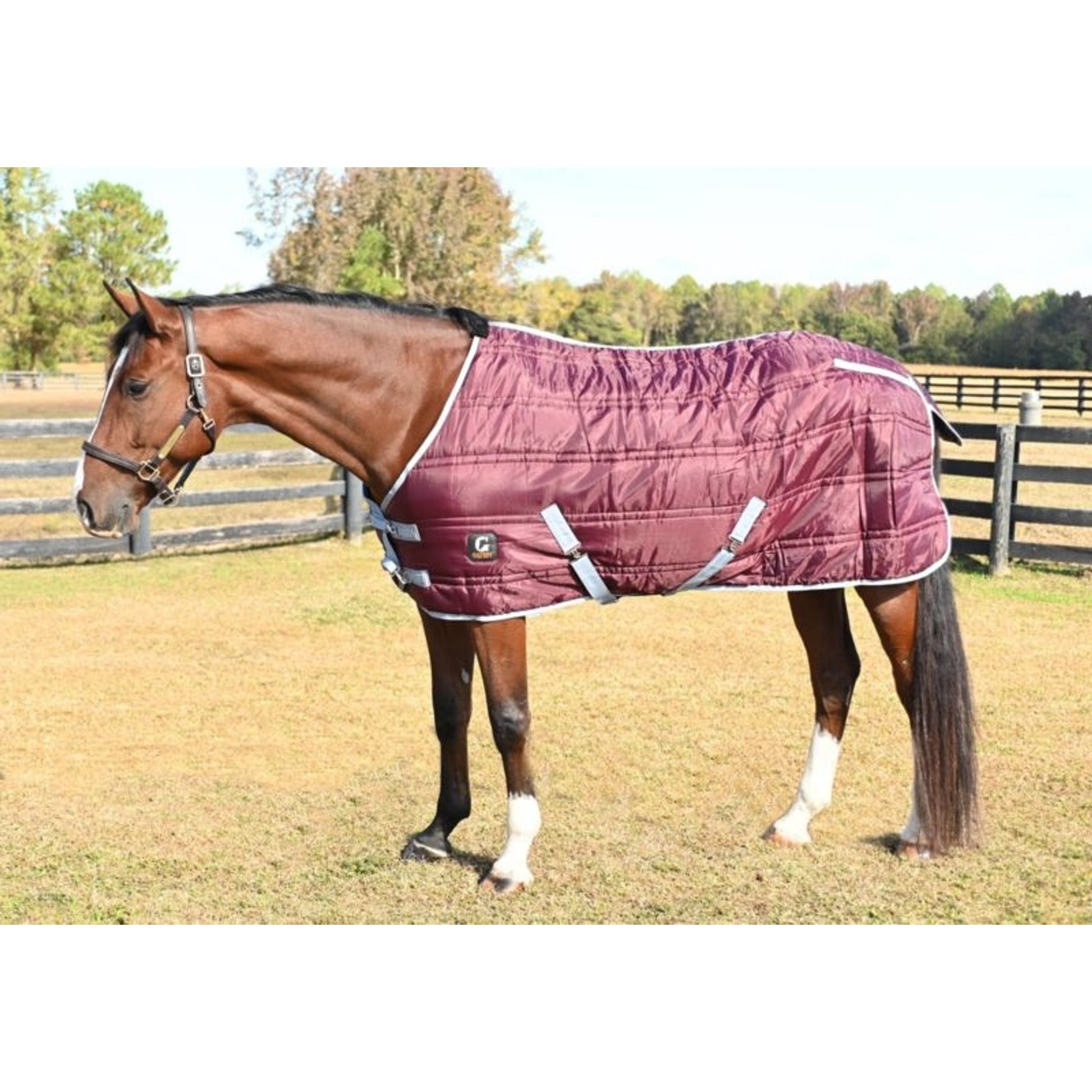 Gatsby 600D 250g Stable Blanket