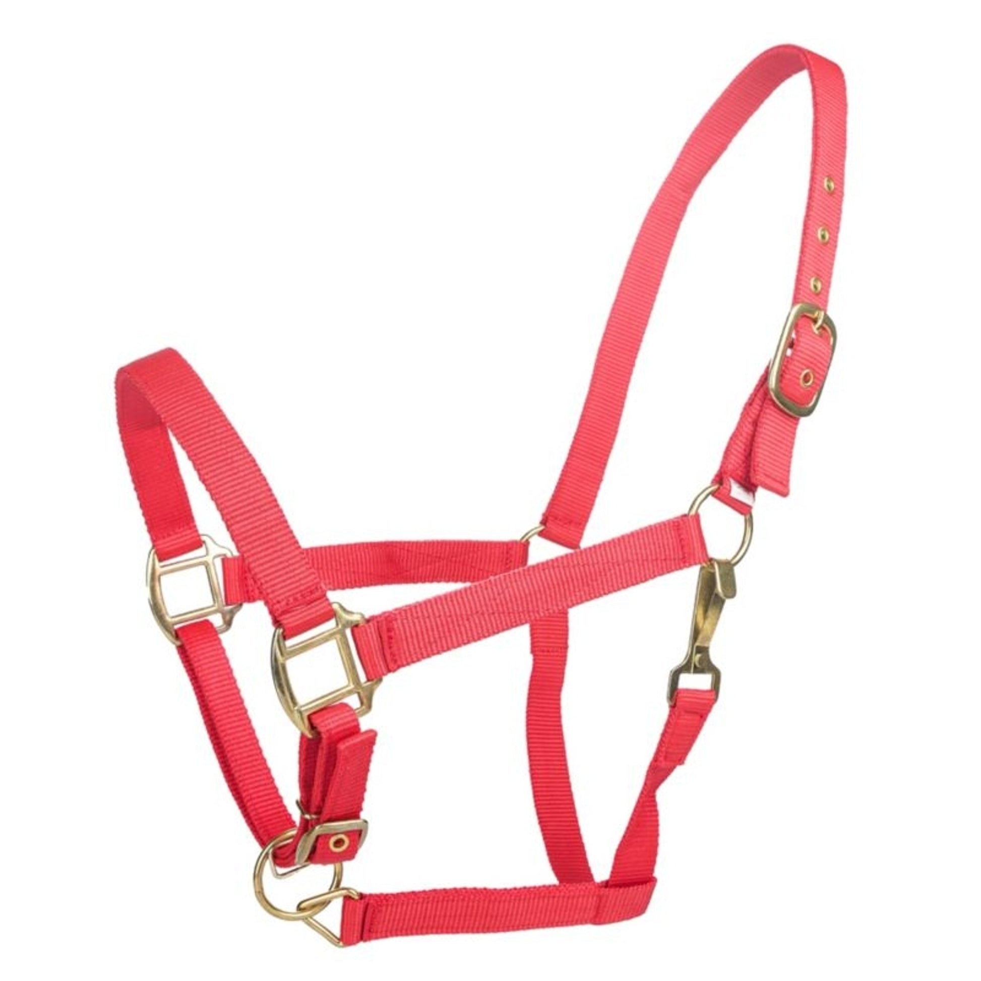 Tabelo Nylon Halter with Adj Chin