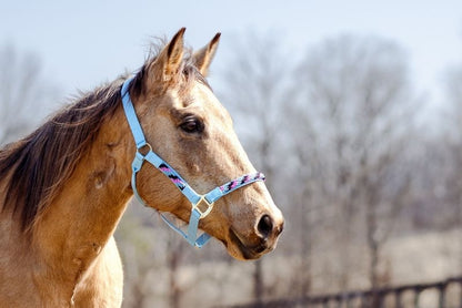 Tabelo Rope Trim Halter