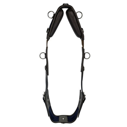 Gatsby Leather Training Surcingle with Webbing
