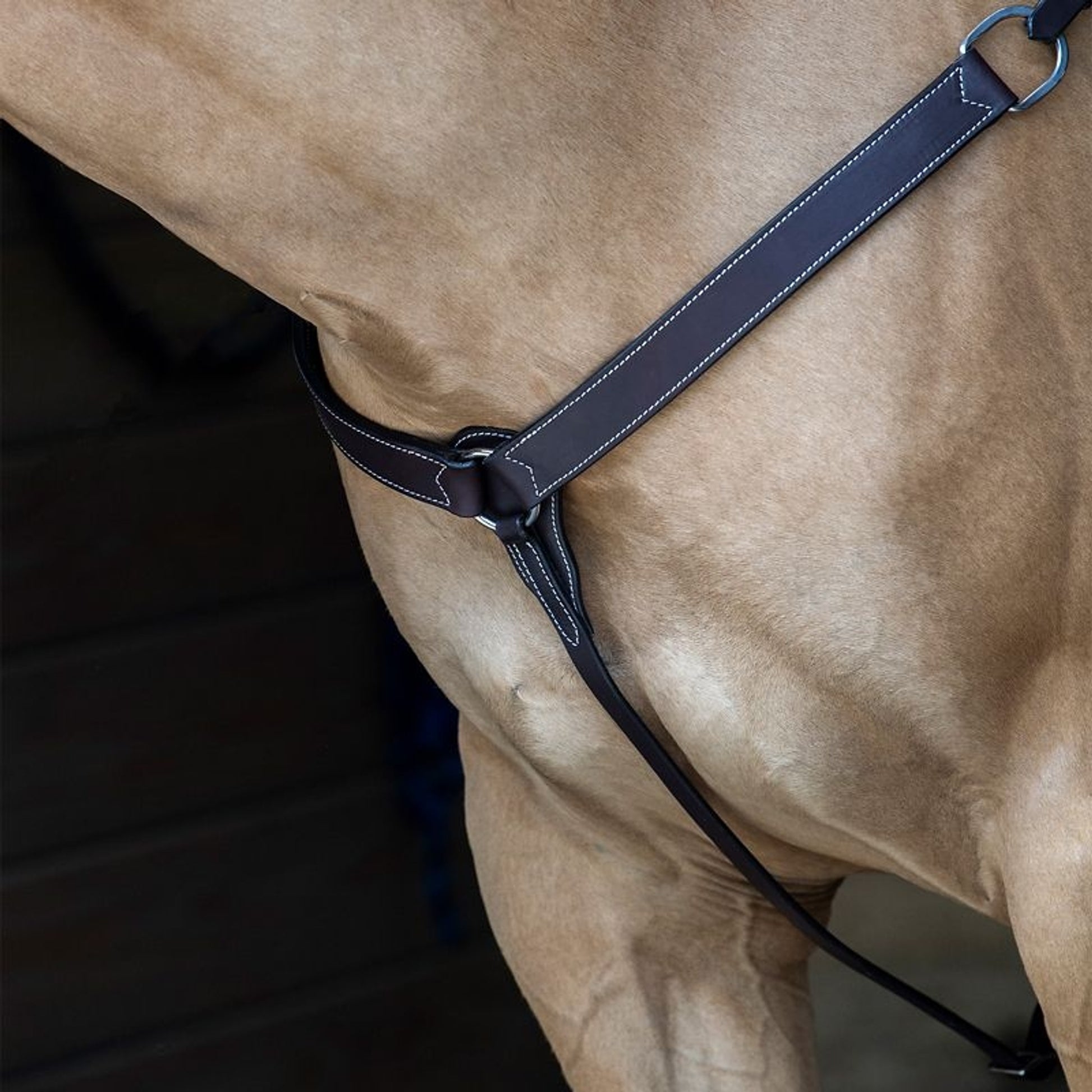 Tabelo Western Breast Collar