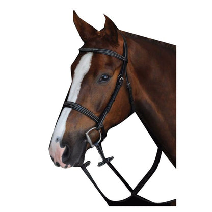 Collegiate CC Fancy Raised Cavesson