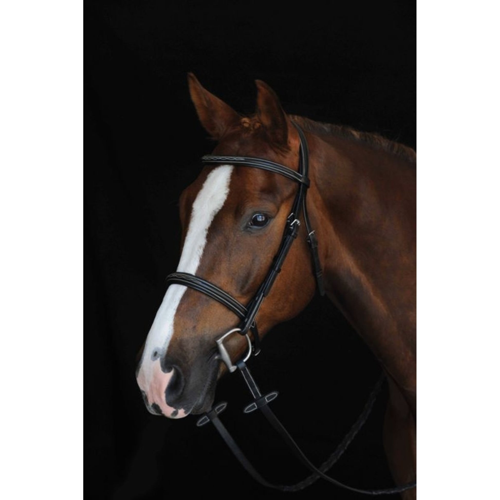 Collegiate CC Fancy Raised Cavesson