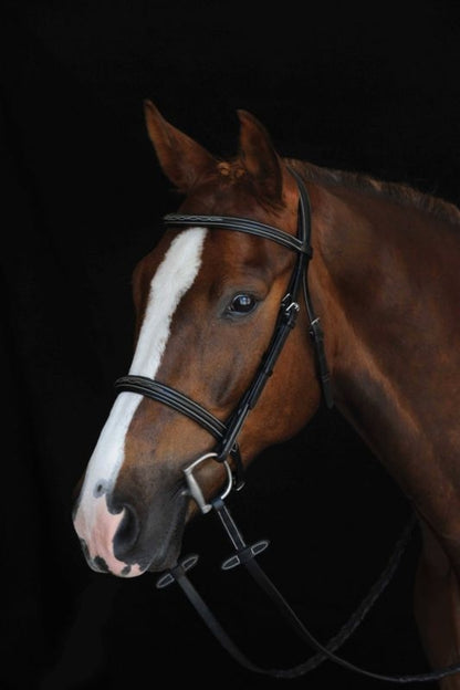Collegiate CC Fancy Raised Cavesson
