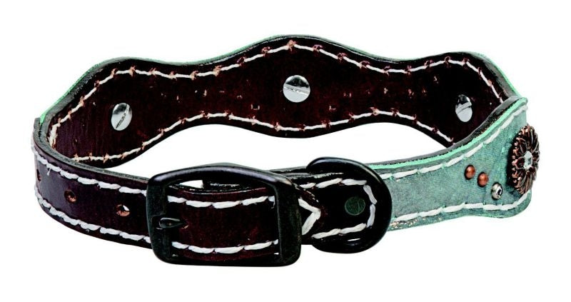 Weaver Savannah 1in Collar