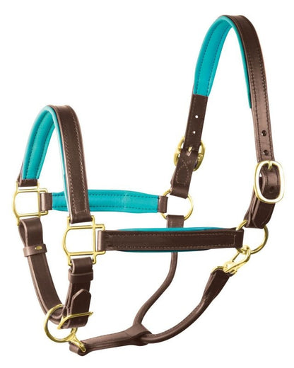 Perri's Soft Padded Leather Halter