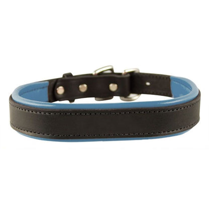Perris Padded Leather Dog Collar