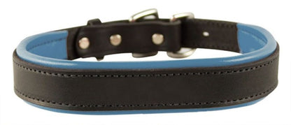 Perris Padded Leather Dog Collar