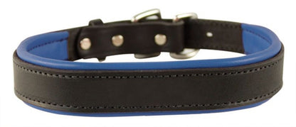 Perris Padded Leather Dog Collar