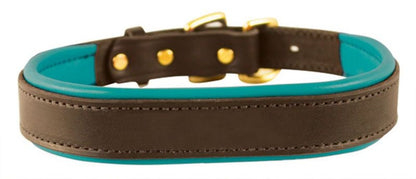 Perris Padded Leather Dog Collar