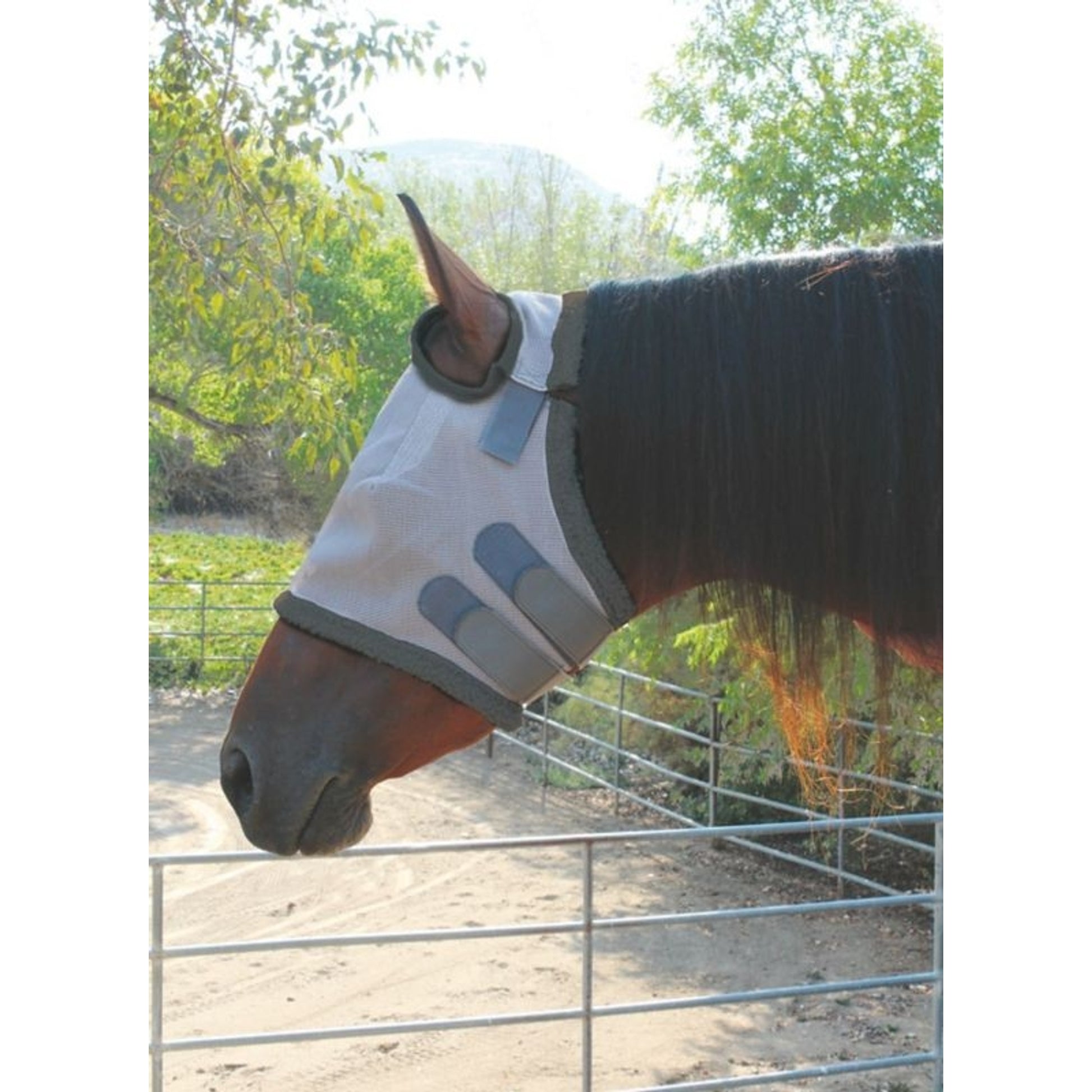 Professionals Choice Breakaway Fly Mask Cob