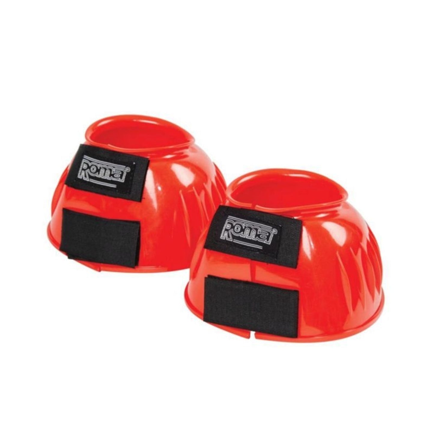 TH1239309.jpg
