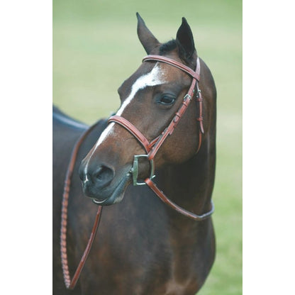Rodrigo Pessoa Wide Noseband Show Bridle