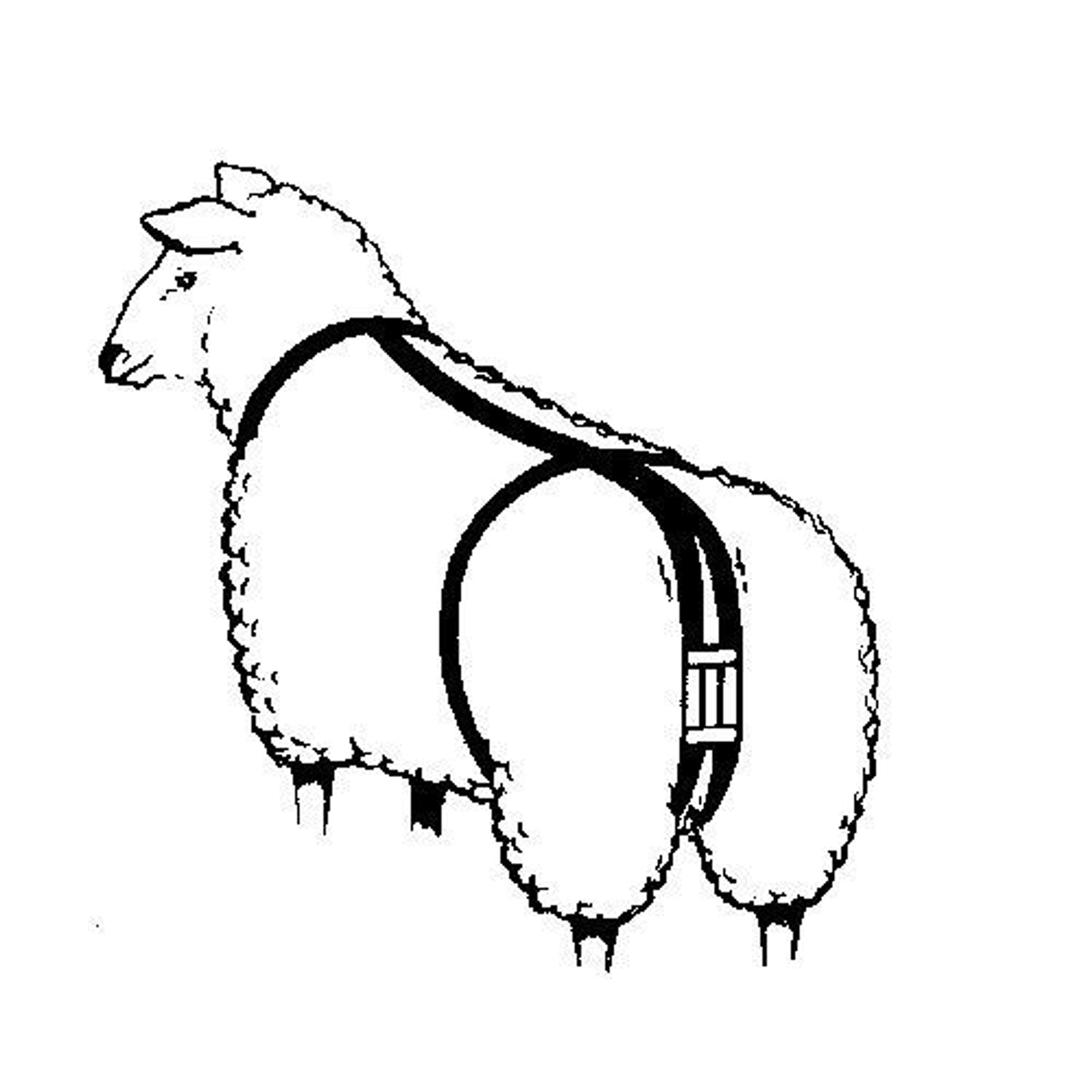 Prolapse Harness
