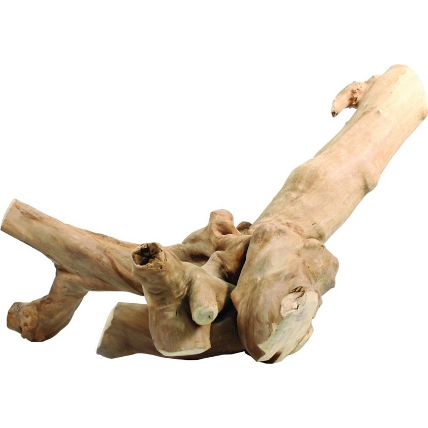 TH1320797.jpg