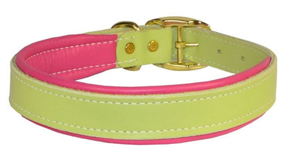 Perris Padded Leather Dog Collar
