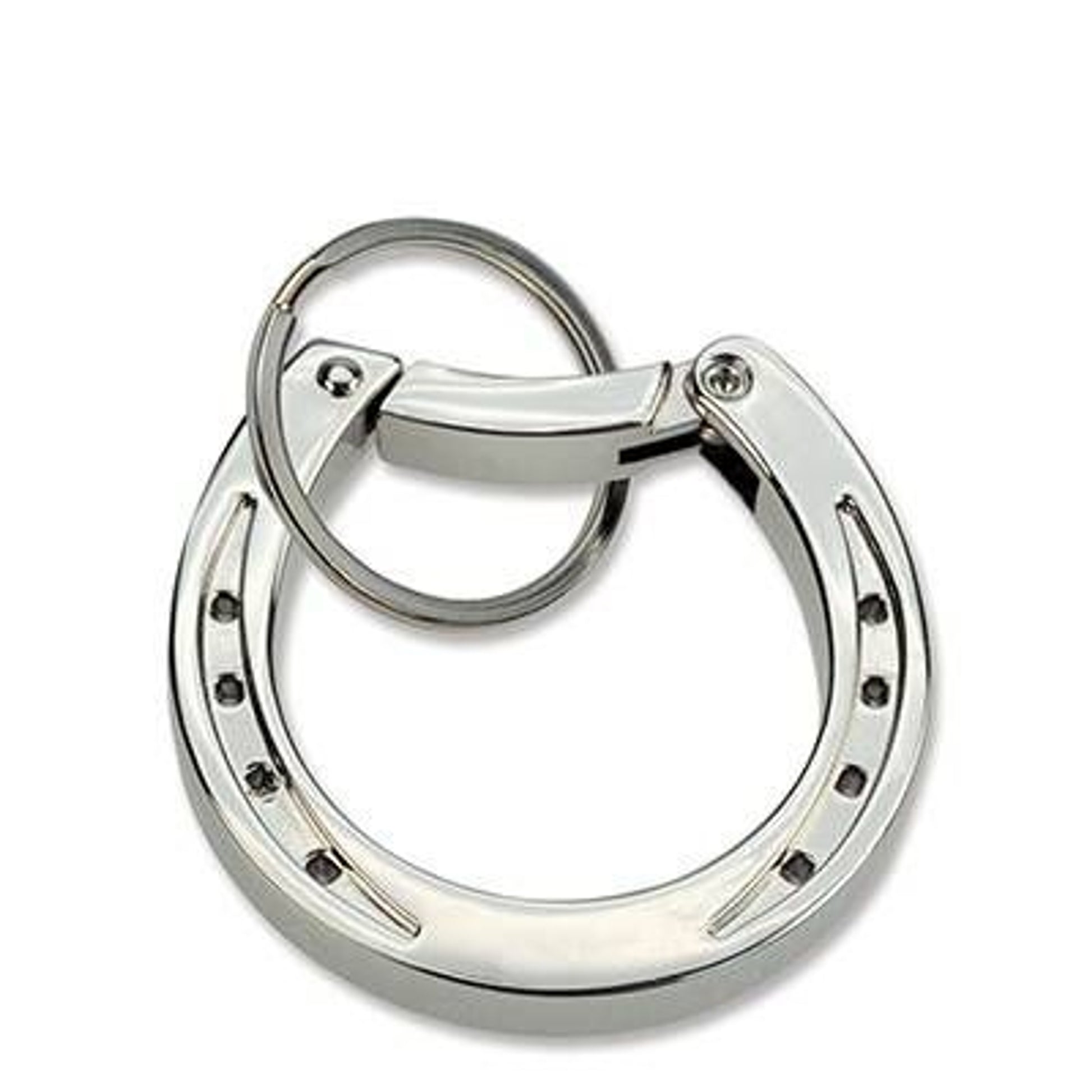 Horse Shoe Carabiner Keychain