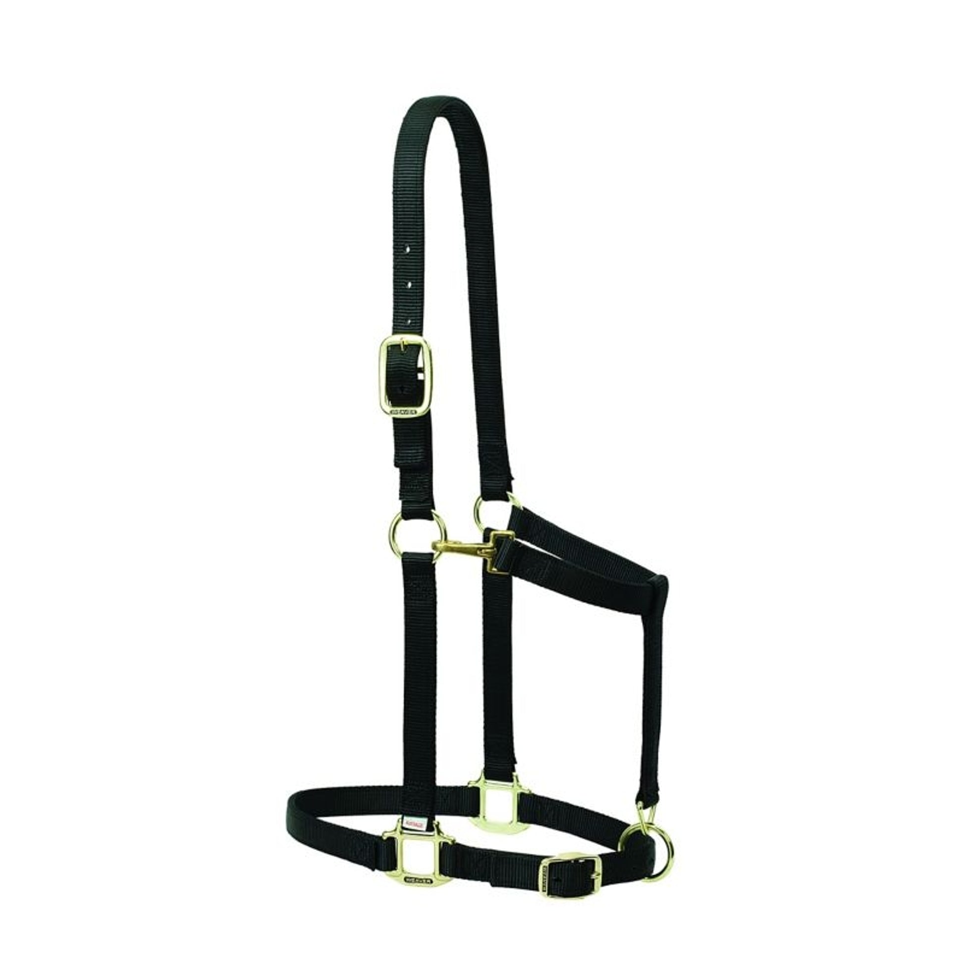Weaver Nylon 1in Adjust Draft Halter