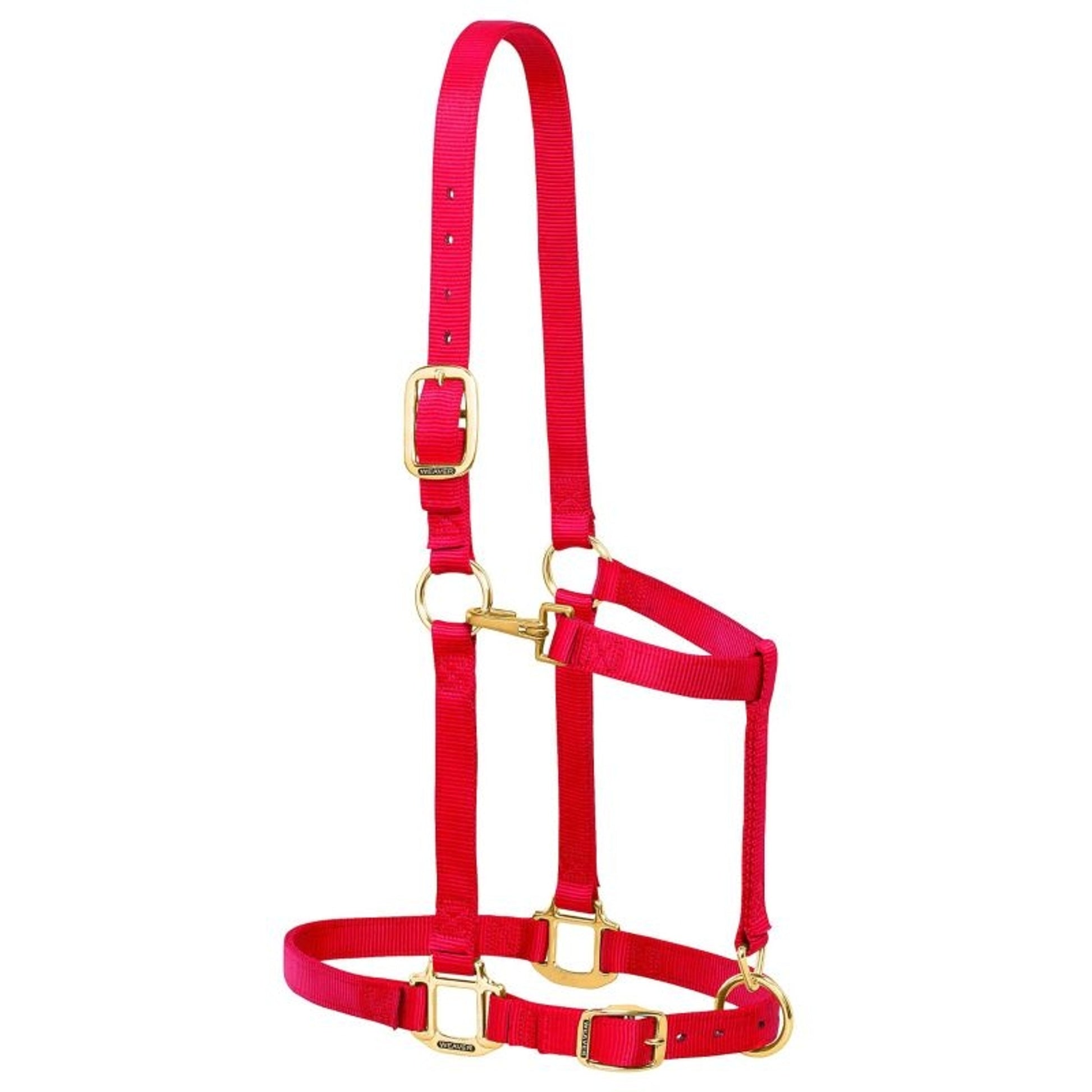 Weaver Nylon 1in Adjust Draft Halter
