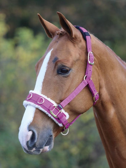 Shires Fleece Lined Lunge Cavesson