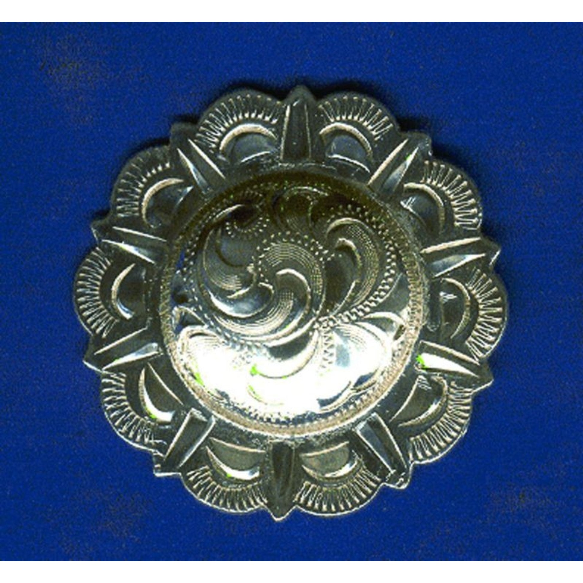 Domed Scalloped Concha With Screw Back 1 Br