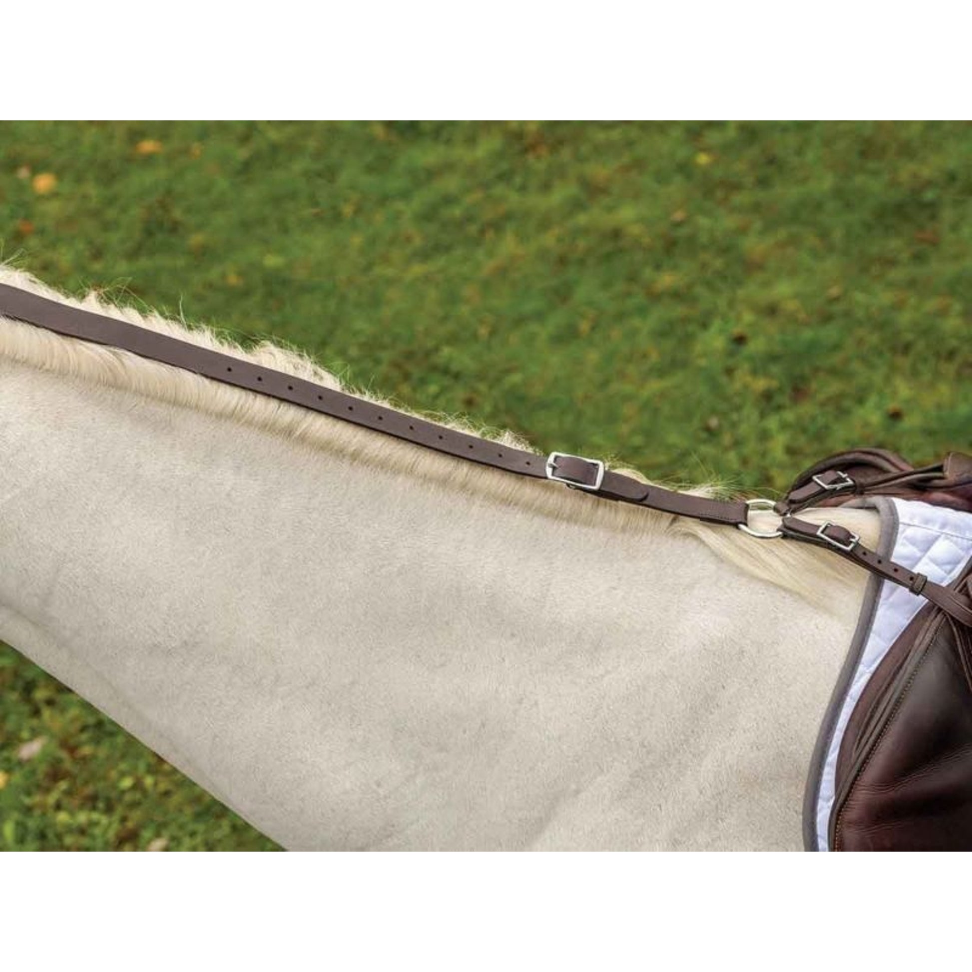 Shires Avignon Daisy Rein