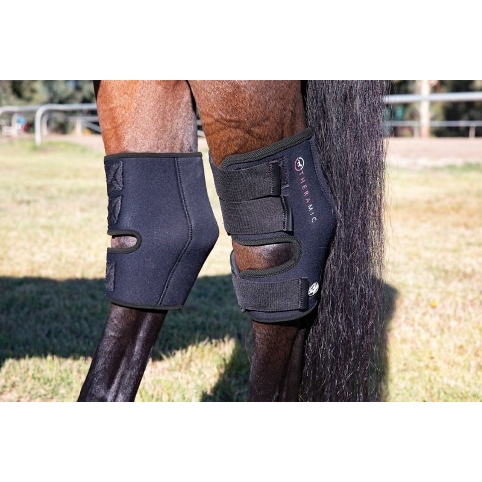 Professionals Choice Theramic Hock Boots